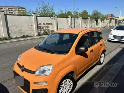 Usata Fiat Panda 69 CV (50 kW) 2017 Utilitaria