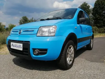 Usata Fiat Panda 4x4 Climbing 60 CV (44 kW) 2005 Bluazzurro Utilitaria