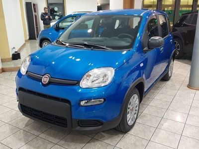 usata Fiat Panda 3ª serie 1.0 FireFly S&S Hybrid