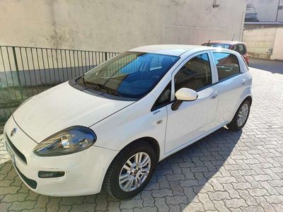 usata Fiat Punto 5p 1.4 easypower Lounge Gpl