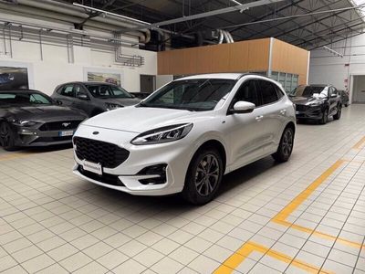 usata Ford Kuga 1.5 EcoBoost 150 CV 2WD ST-Line usato