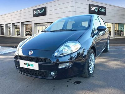 usata Fiat Punto 1.3 MultiJet Street 95cv S&S EU6