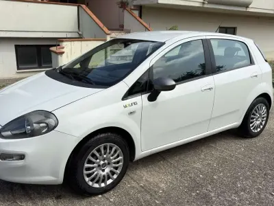Usata Fiat Punto Evo