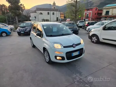 Usata Fiat Panda Easy 69 CV (50 kW) 2020 Bianco Utilitaria