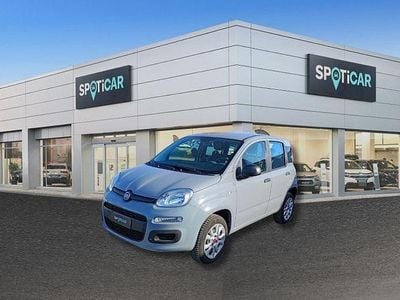 Usata Fiat Panda Easy 71 CV (52 kW) 2019 Azzurro celestiale Utilitaria