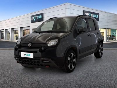 usata Fiat Panda Cross 1.0 FireFly 70cv S&S Hybrid