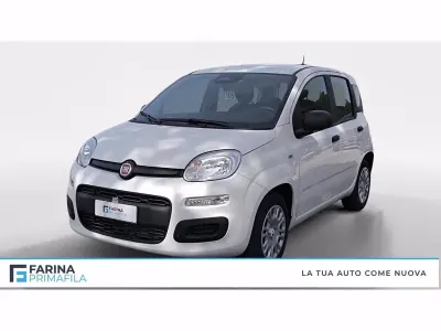 Usata Fiat Panda