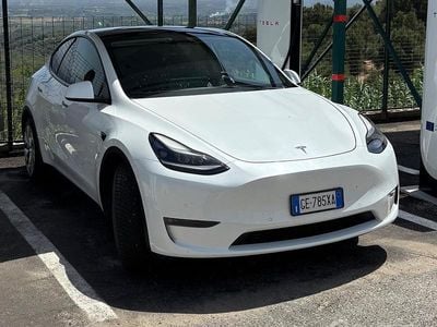 Usata Tesla Model Y 250 kW (340 CV) 2021 Bianco SUV