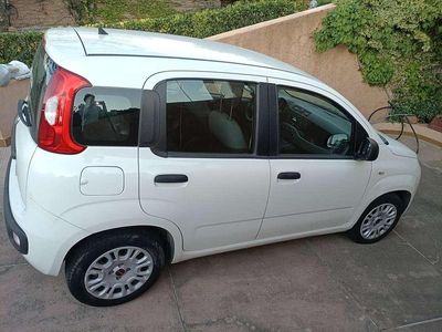 Usata Fiat Panda Easy 69 CV (50 kW) 2018 Utilitaria