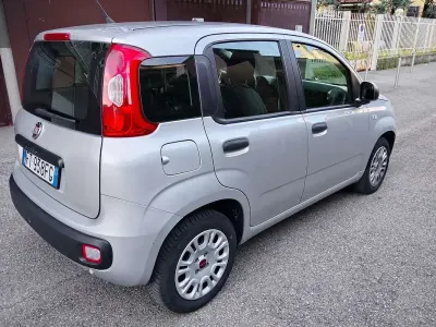 Usata Fiat Panda Easy 69 CV (50 kW) 2019 Grigio Utilitaria