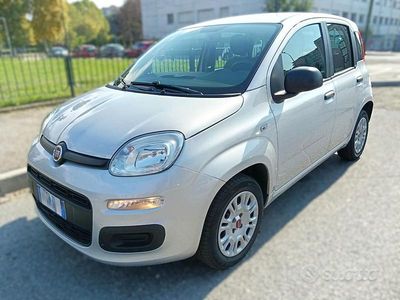 Usata Fiat Panda Pop 69 CV (50 kW) 2020 Grigio Utilitaria