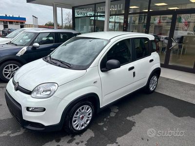 usata Fiat Panda 1.0 FireFly S&S Hybrid City Life