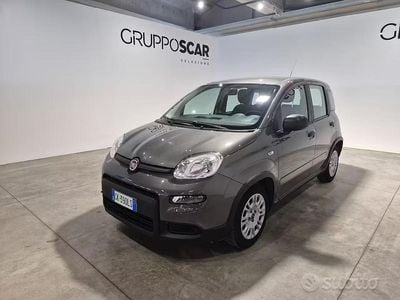 Usata Fiat Panda S 70 CV (51 kW) 2022 Grigio Utilitaria