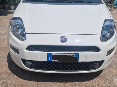 Usata Fiat Punto 75 CV (55 kW) 2015 Bianco Utilitaria