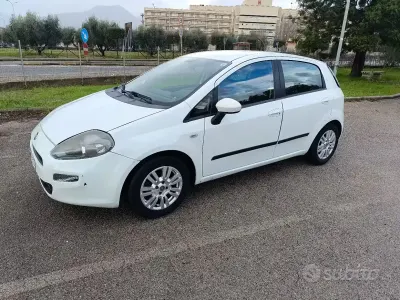 Usata Fiat Punto 75 CV (55 kW) 2014 Bianco Utilitaria
