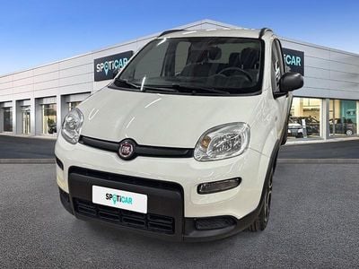 Usata Fiat Panda City Life 69 CV (50 kW) 2022 Bianco Utilitaria