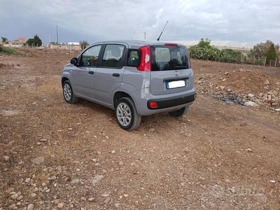 Usata Fiat Panda 70 CV (51 kW) 2019 Grigio Utilitaria