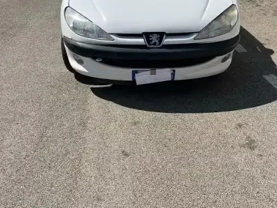 Usata Peugeot 206