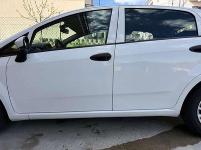 Usata Fiat Punto Young 69 CV (50 kW) 2016 Utilitaria