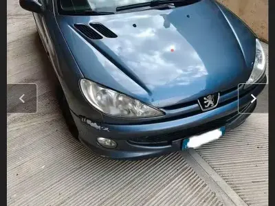 Usata Peugeot 206