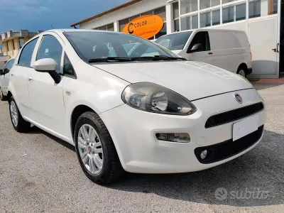 Usata Fiat Punto 75 CV (55 kW) 2015 Bianco Utilitaria