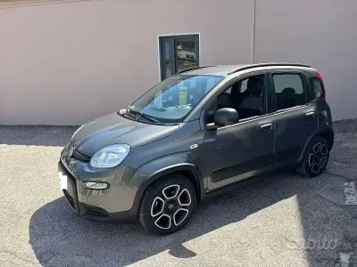 Usata Fiat Panda City Life 69 CV (50 kW) 2021 Grigio Utilitaria