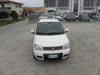Usata Fiat Panda 4x4 Climbing 75 CV (55 kW) 2012 Bianco Utilitaria
