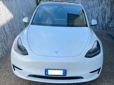 usata Tesla Model Y Model YSingle Motor Rwd + Autopilot Avanzato