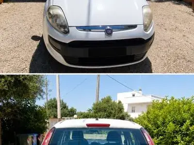 Usata Fiat Punto Evo Active 75 CV (55 kW) 2011 Utilitaria