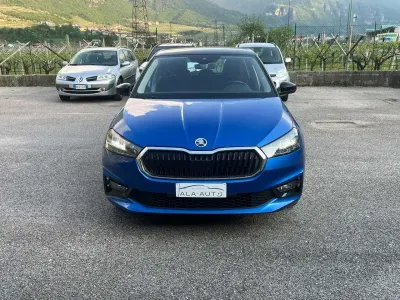 Usata Skoda 110 R