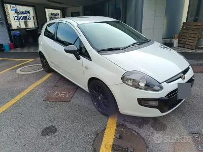 Usata Fiat Punto 75 CV (55 kW) 2011 Bianco Utilitaria