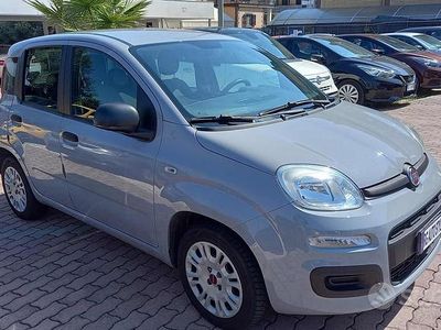 Usata Fiat Panda Easy 69 CV (50 kW) 2019 Grigio Utilitaria