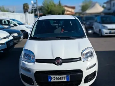 Usata Fiat Panda Easy 75 CV (55 kW) 2014 Bianco Utilitaria