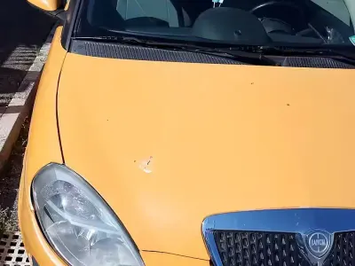 Usata Lancia Ypsilon 2006 Utilitaria