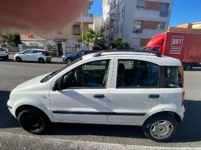 usata Fiat Panda PandaII 2003 1.2 natural power Dynamic