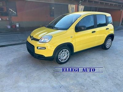 Nuova Fiat Panda 69 CV (50 kW) 2025 Giallo Berlina