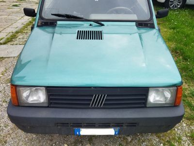 usata Fiat Panda 1100 i.e. cat Young