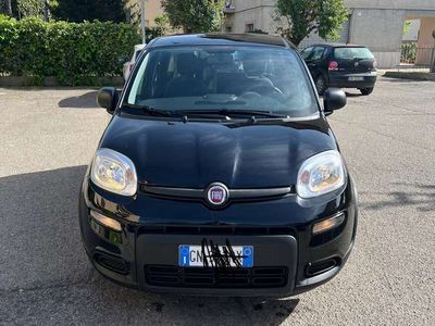 usata Fiat Panda 1.0 firefly hybrid s&s 70cv