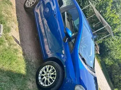 Usata Fiat Punto Evo Dynamic 69 CV (50 kW) 2010 Utilitaria