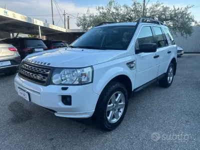 Usata Land Rover Freelander 2 SE 150 CV (110 kW) 2011 Bianco SUV