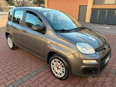 Usata Fiat Panda Easy 69 CV (50 kW) 2019 Marrone Utilitaria