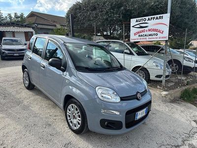 Usata Fiat Panda Easy 95 CV (69 kW) 2018 Grigio Utilitaria