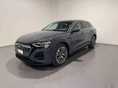 Usata Audi Q8 e-tron
