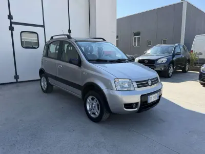 Usata Fiat Panda 4x4