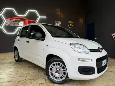 Usata Fiat Panda 95 CV (69 kW) 2016 Beige Utilitaria