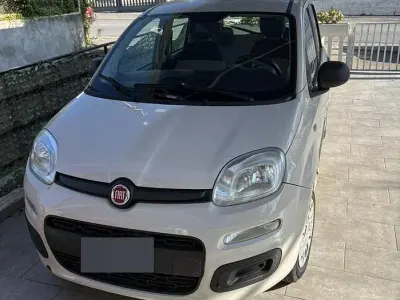 Usata Fiat Panda 69 CV (50 kW) 2013 Utilitaria