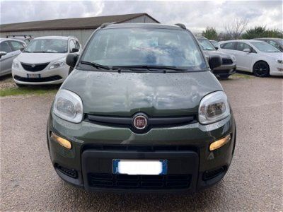 usata Fiat Panda Cross 1.0 FireFly S&S Hybrid City usato