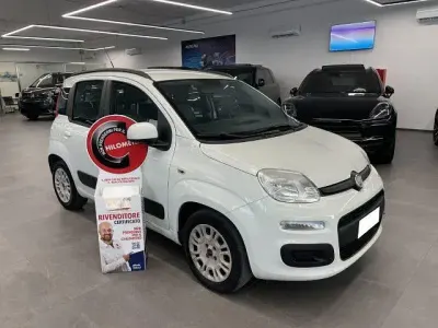 Usata Fiat Panda Classica 69 CV (50 kW) 2014 Bianco Utilitaria