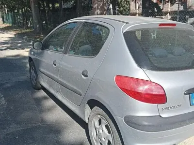 Usata Peugeot 206
