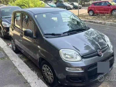 Usata Fiat Panda 69 CV (50 kW) 2017 Grigio Utilitaria
